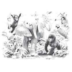 JUNIOR JUNGLE 16975SA6.gif